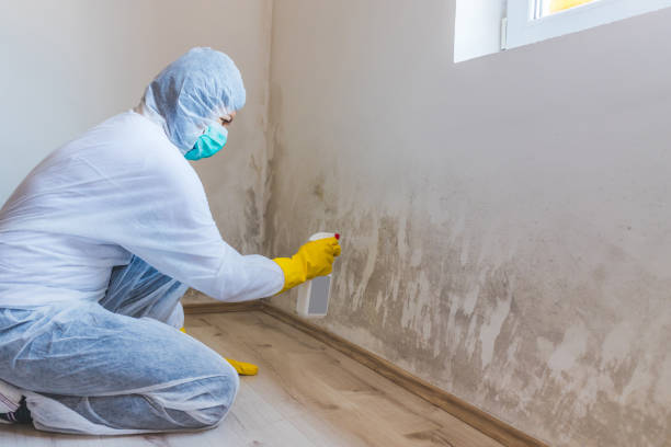 Mold Remediation specialist working in Kings Park